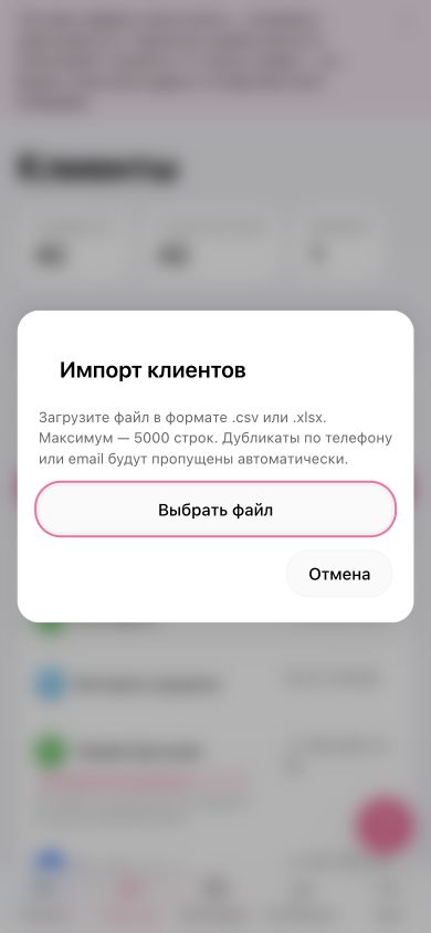 Окно импорта клиентов в мобильном кабинете