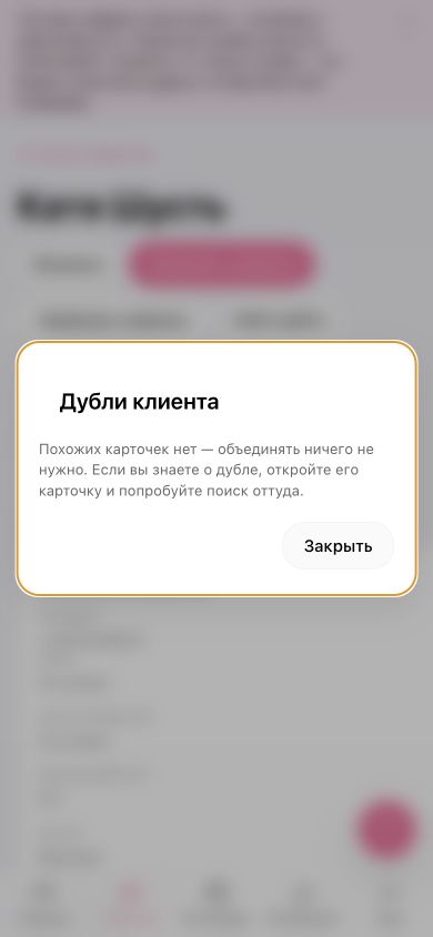 Окно поиска дублей без совпадений