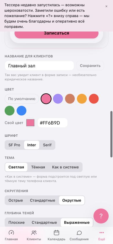 Настройки формы записи на телефоне: цвет, шрифт, тема, скругления и глубина теней